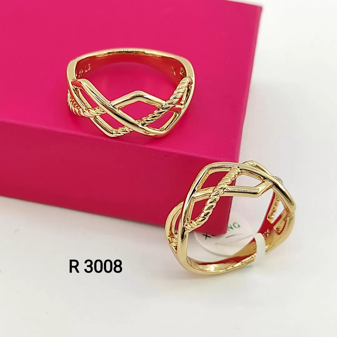 R 3008